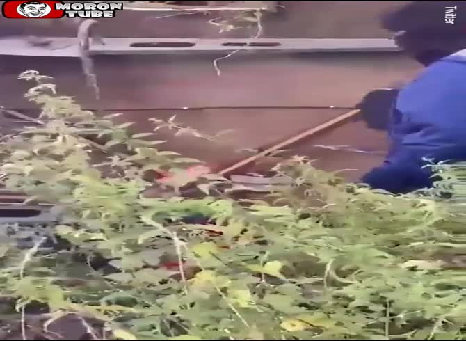 Video :Masked gang attacks man with machete, ax and baseball bat (Warning - shocking)